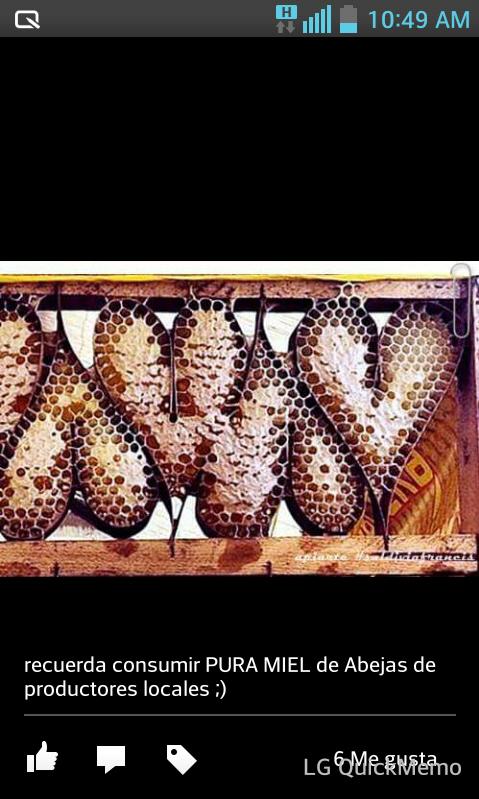 Recuerda consumir miel de productores locales