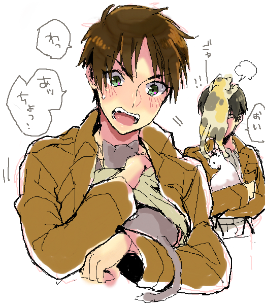 絵チャで描いたヘタやら進撃やら創作～ネコ好き飼いたい 
