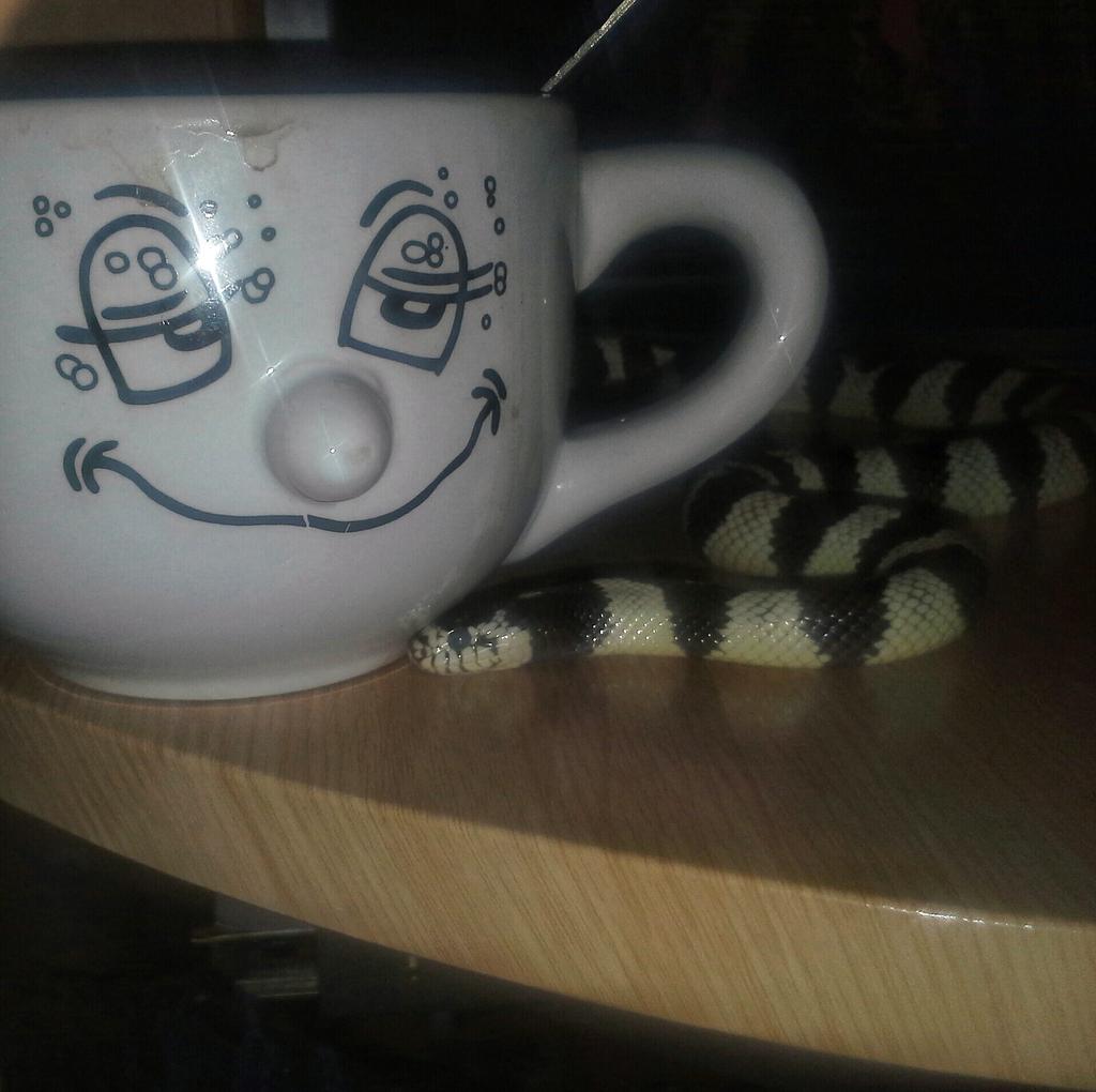 juanma_garcia_'s tweet photo. Hay mi #putii http://t.co/feYAUC0nnV