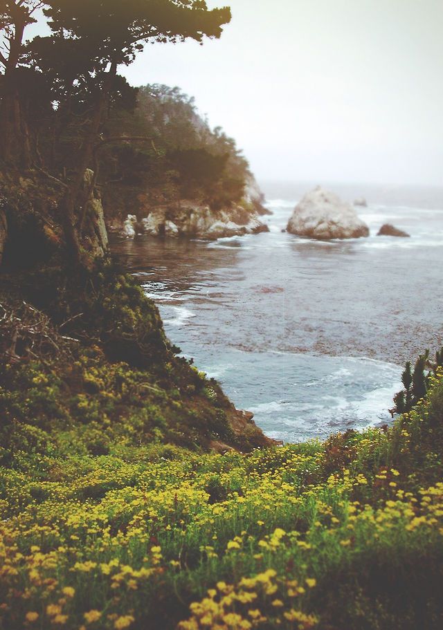 Mrs_Twocents's tweet photo. [Happiness is...] http://t.co/VQfs8ZwO8B #sea #mrstwocents #blogs #happiness http://t.co/U9sx5BESSh