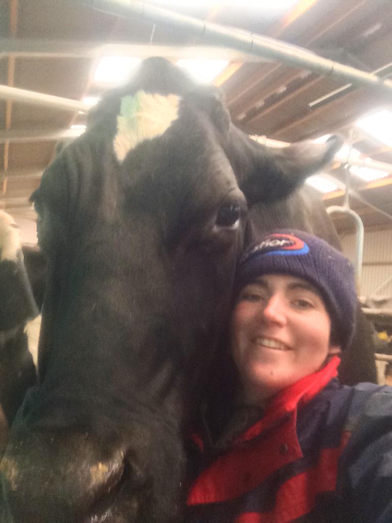 AbiReader's tweet photo. We passed!! #tbfree #GoldslandFarm #Marjoree #nightmare http://t.co/5KHzZdWsFm