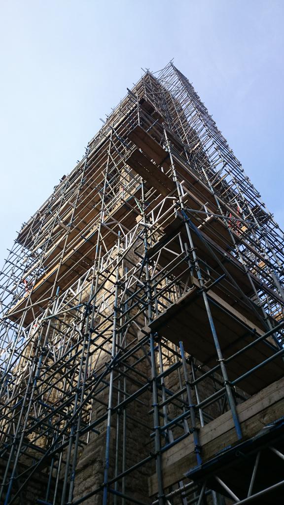 Faye W Davies tweet media