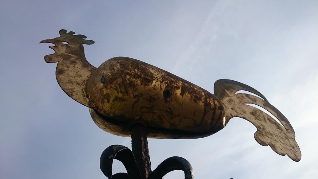 Faye W Davies tweet media