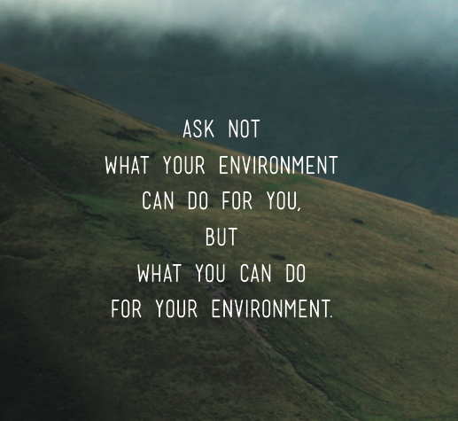 LikeTheWindMag tweet media