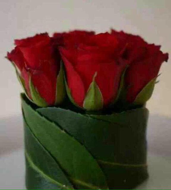 741Zbarma's tweet photo. @misho_sa1 http://t.co/uxvWi5tWC2