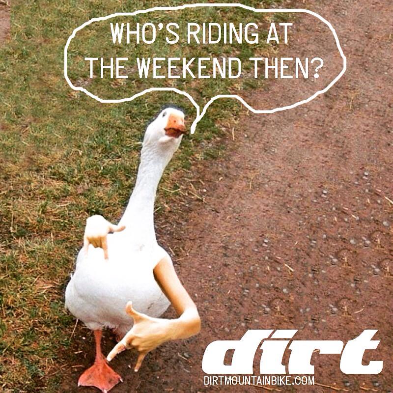 Dirt Magazine tweet media