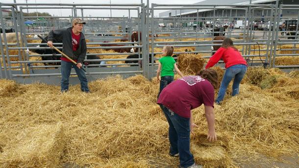dean_chhs's tweet photo. FFA &amp; Jr FFA members making tie out beds at the Houston Stock Show and Rodeo http://t.co/BUE1ur92ai