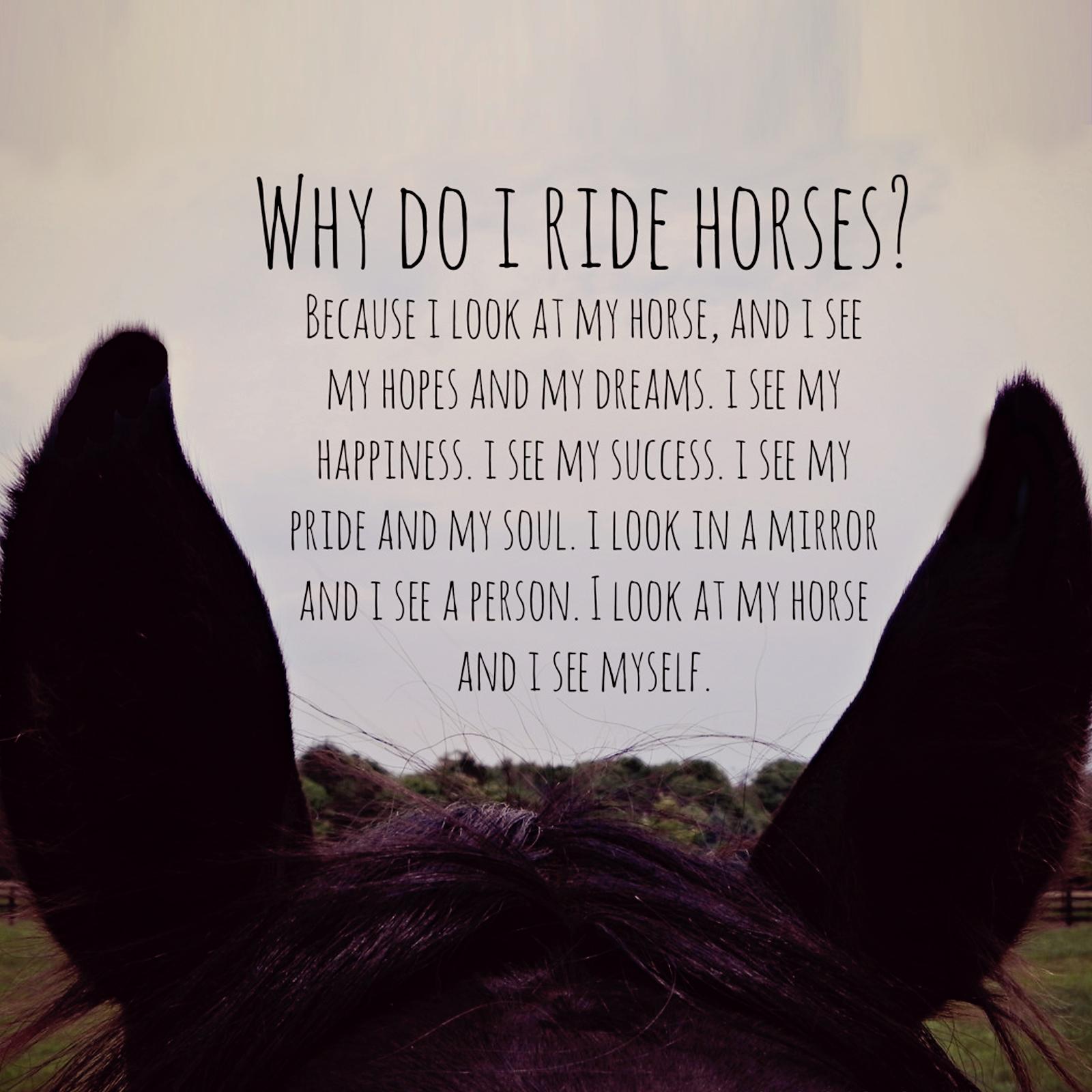 Horse Tumblr Quotes