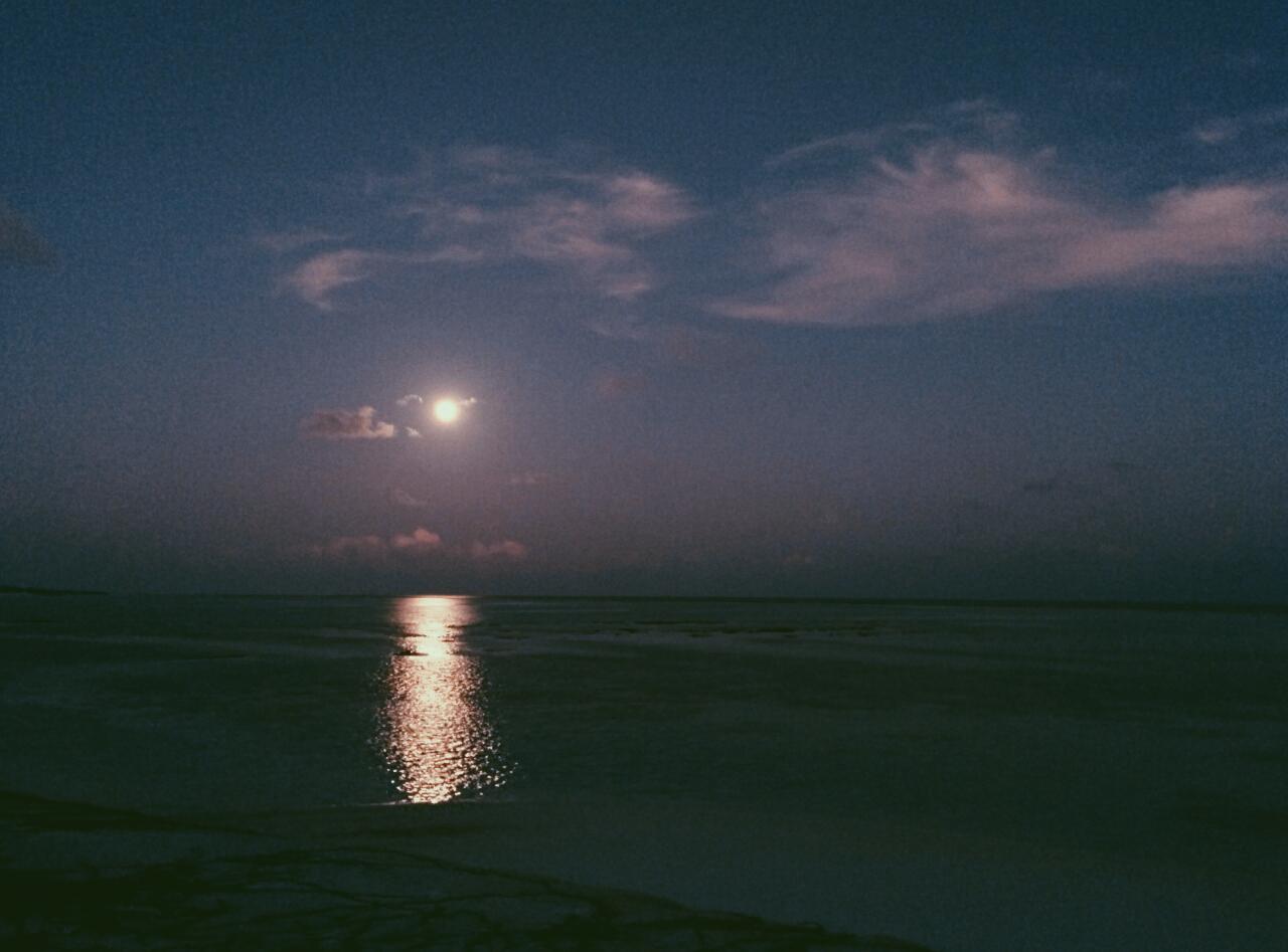 \"Remember that night
White steps in the moonlight\" Happy Birthday David Gilmour <3 