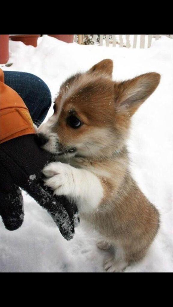 AlwaysDoItRight's tweet image. The look your girl gives when you won't see each other for a while...