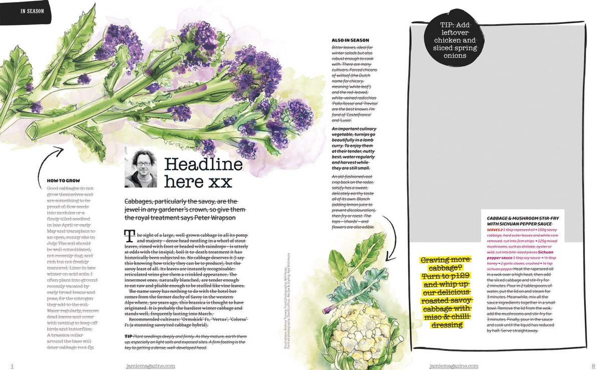 ARTurvey's tweet photo. Latest Illustrations for Jamie Magazine http://t.co/EwfIjo2ts0