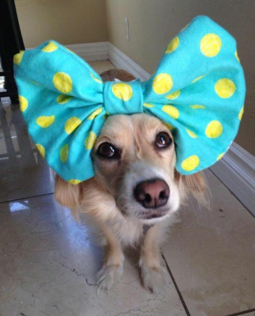 Going for the subtle but stylish look....