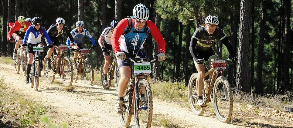 CycleKnysna's tweet photo. Your #Knysna &amp; @visitsedgefield #LineUp: http://t.co/gksvJpgT81 - #Rheenendal #Cycle #Festivals @Sushi and more... http://t.co/XA3XM6worX