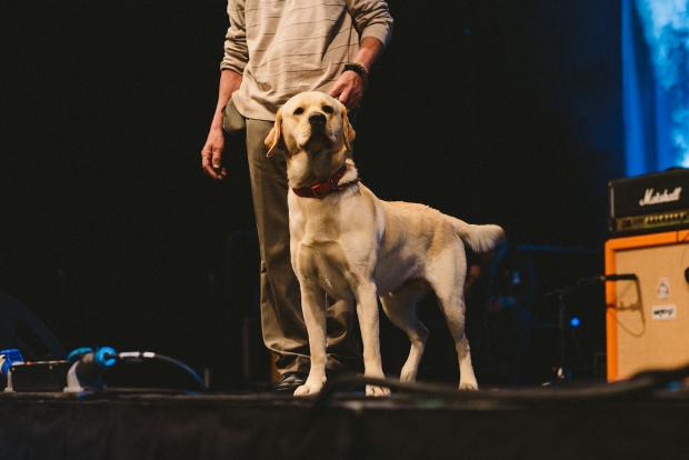 My paws are at the ready for #TweetTheBrewer next Wednesday! WOOF! <a href="/brewdog/">BrewDog</a>  

bit.ly/bdttb4blog