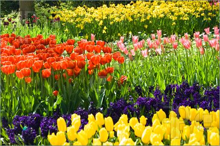 Butterflyguru's tweet image. @BurpeeHG Happy Fiday! Snow here in VA yesterday. I&apos;m so ready for tulips and daffodils!
