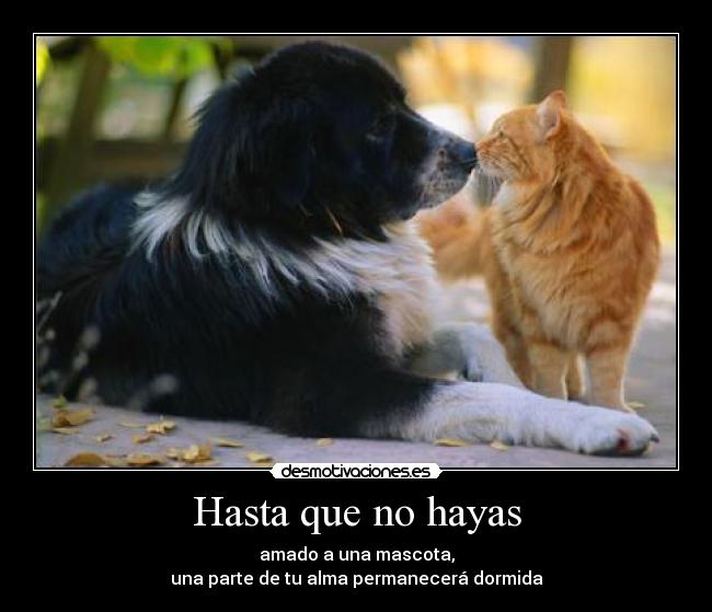 PrikaCom's tweet image. 