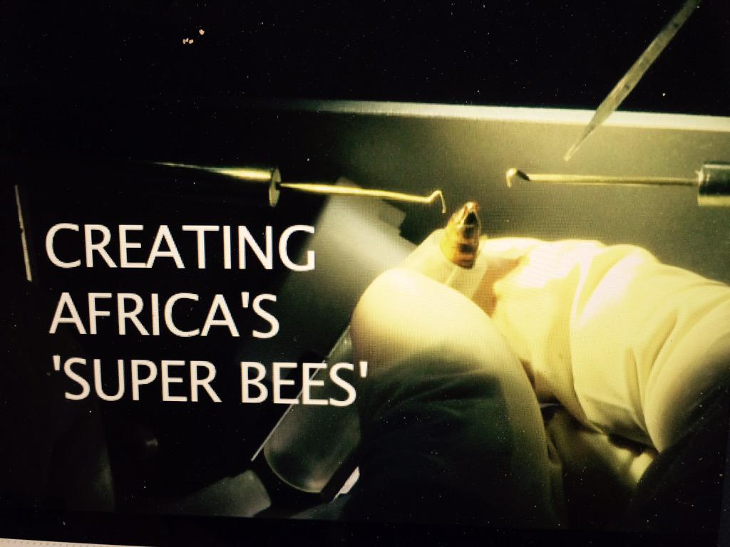 robynkriel1's tweet image. Too excited about Sunday's story by @brianaduggan and @RalphaelA  #beeprepared via @encanews #icannotkeepasecret