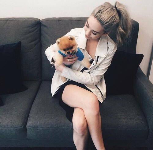 viktoriagdr's tweet photo. Un cagnolino. http://t.co/Zmj5LBD9XD