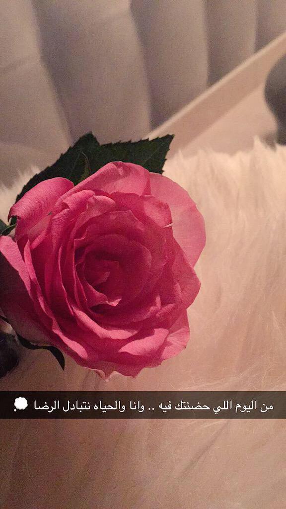 سنابيات. tweet media