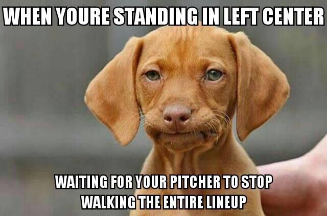 Only in SlowPitch tweet media