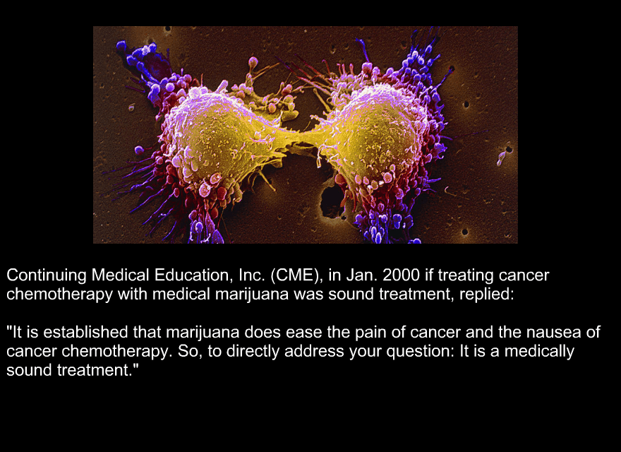 MME_QUEBEC's tweet photo. Cannabis and Cancer

  #marijuana #cannabis #cbd #thc #Cancer #medicalmarijuana #health  #chemotherapy #choice http://t.co/Csk7d5Pt9O
