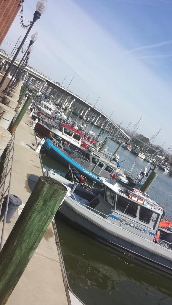 BCo MIRT tweet media