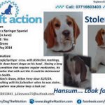 Photo by Help Find Hansum (@HelpFindHansum)