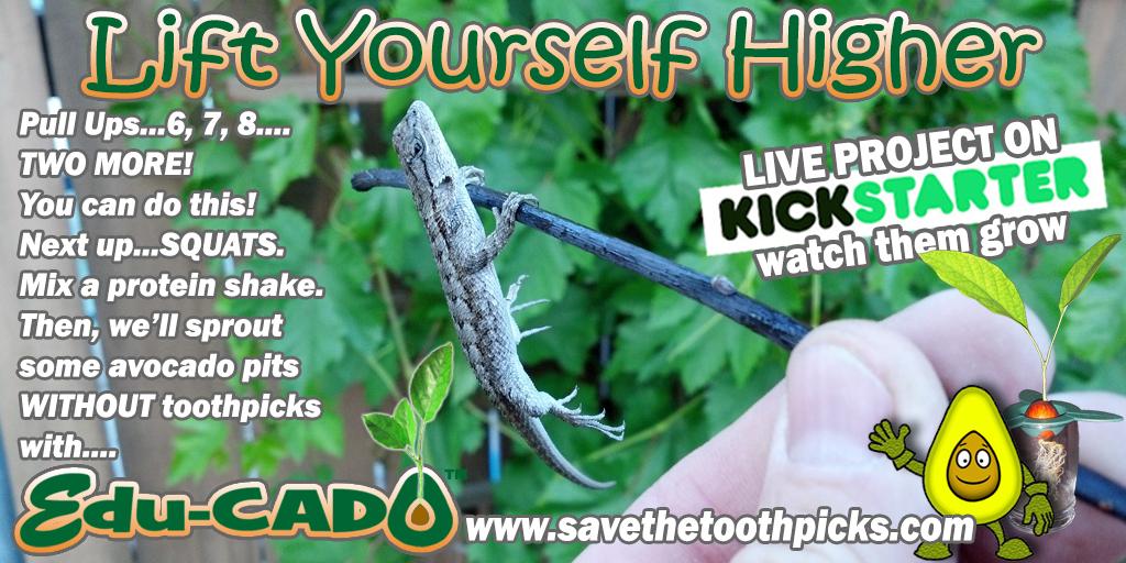 savetoothpicks's tweet photo. Sprout avocado pits WITHOUT toothpicks #Kickstarter project http://t.co/1HU5B9Ztcc #fitness #eatclean #healthyeating http://t.co/KLl7Wmjk4C