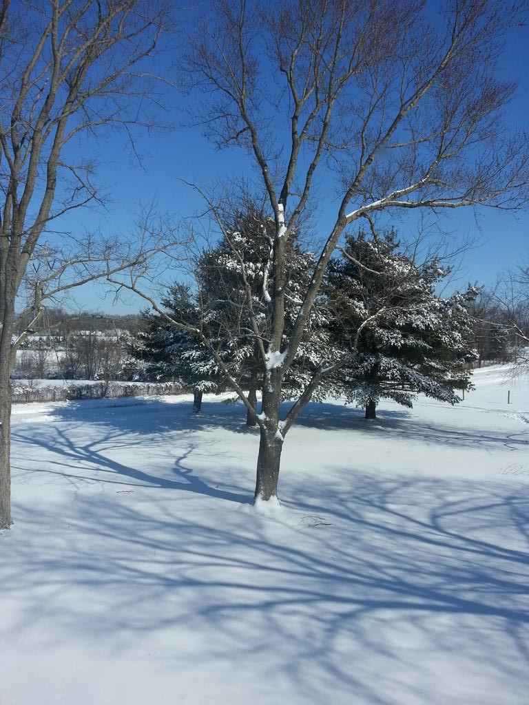 MJPAUL_96's tweet photo. Love the view from my room. 😍❄ http://t.co/RbIOISubsk