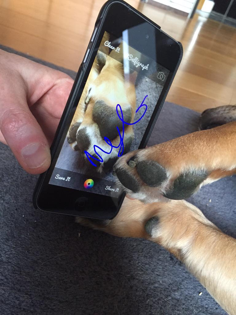 AudioFonic's tweet photo. Too tired to sit up for a selfie but at least he signed it @selfigraph #selfigraph http://t.co/i0mDTmOjRp