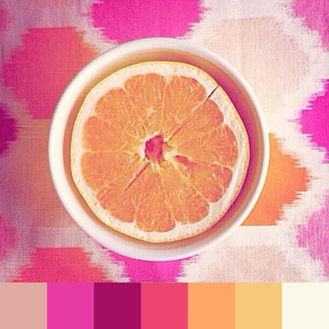 foundpalettes's tweet photo. Delicious color. 🍊 photo by @dandyfineparty. | #foundpalettes #dshappy #dscolor #ABMlifeis… http://t.co/VsCC6QGwne http://t.co/unqZWCL3Ll