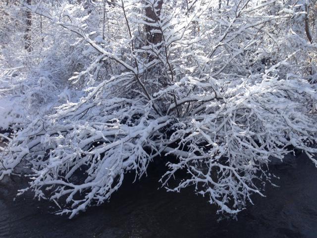 synnglemommm's tweet photo. Calm after the storm here in Glen Burnie, MD @cbsbaltimore @MartyBassWJZ http://t.co/PylNXszlUS