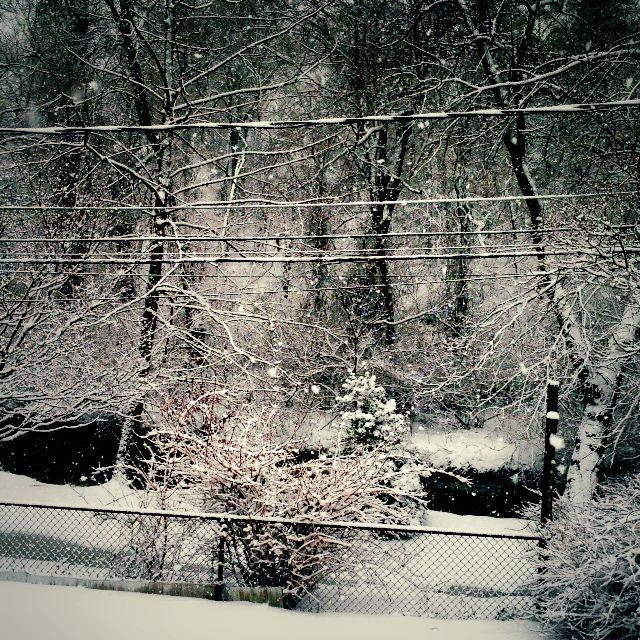 synnglemommm's tweet photo. Calm after the storm here in Glen Burnie, MD @cbsbaltimore @MartyBassWJZ http://t.co/PylNXszlUS
