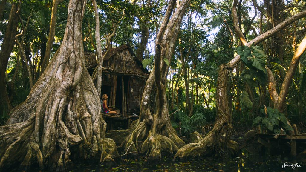 "Witches shack" from Pirates Of The Caribbean! #dominicachallenge @discoverdominica <a href="/hisarahlee/">sarah lee</a>