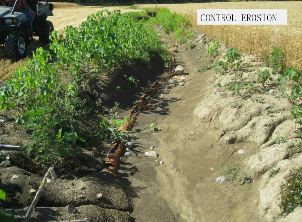 notrunningfast's tweet photo. #BlaineBaker #Erosion is huge prob for #waterquality; They have 38 #WASCoB + #grassedwaterway #covercrops @SWCSNews http://t.co/2xFCivCKF0
