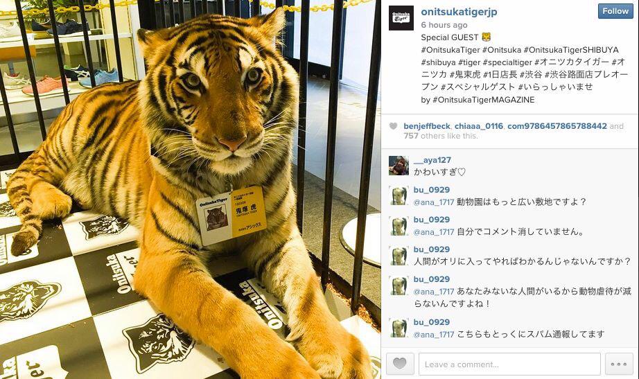 오늘 도쿄 시부야 오니츠카 타이거 매장에서 행사하며 철장에 전시했다는 호랑이. 참 인간이란...그리고 패션이란...