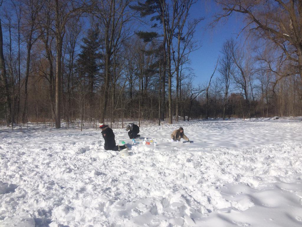 BronteCreeker's tweet image. Friday Fun! #getoutside #learningoutside #frozenart