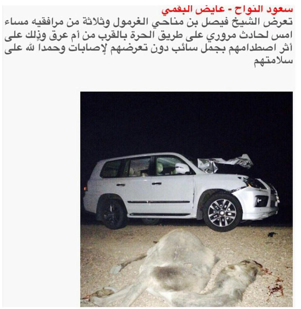 zed1383's tweet image. الحمد لله على سلامة الشيخ ومرافقية