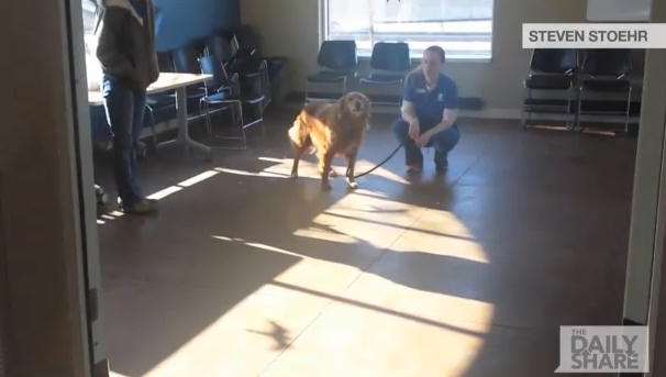 Yes! Lost dog returns to his owner after almost two years away: on.hln.tv/937Ev6