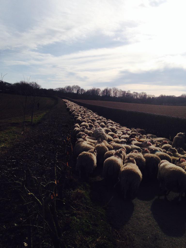 36 hours no sleep does have it's  rewards !#workhardforthedream #experiance