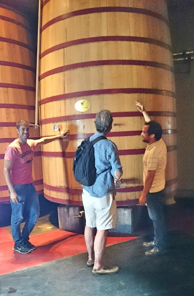 Turismo Mendoza tweet media