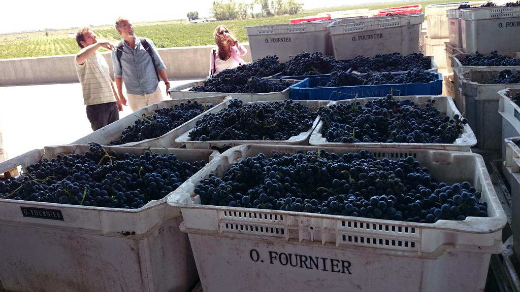 Turismo Mendoza tweet media