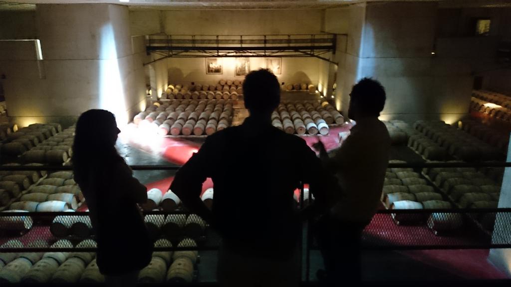 Turismo Mendoza tweet media