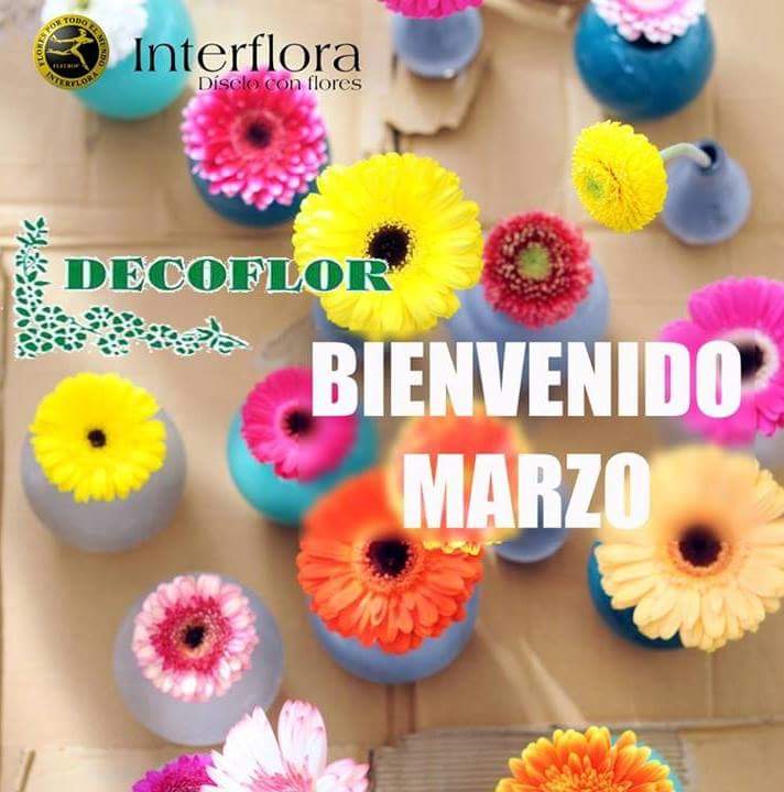 decoflor_'s tweet photo. Ya huele a primavera! Y en Decoflor lo tenemos todo preparado para dar la bienvenida a la estación de las flores! http://t.co/PR7FmVRxPv