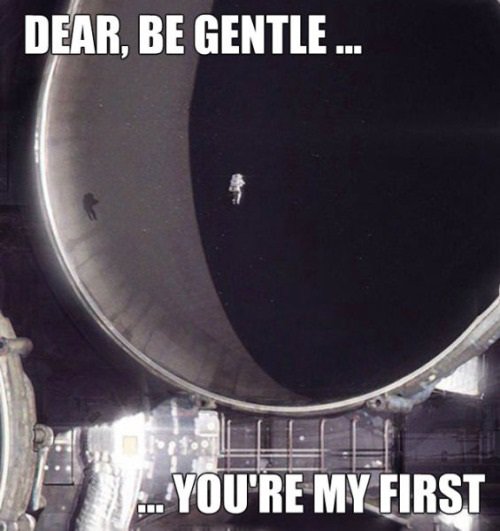 Chode_Nation's tweet image. 