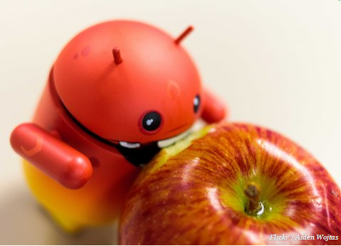 cedar_tech's tweet photo. Why @cedar_tech loves the robot!: #Android #tech #Google #truelove @businessinsider #soulmates http://t.co/gFi3gn0tqF http://t.co/fn9eSGpjS0