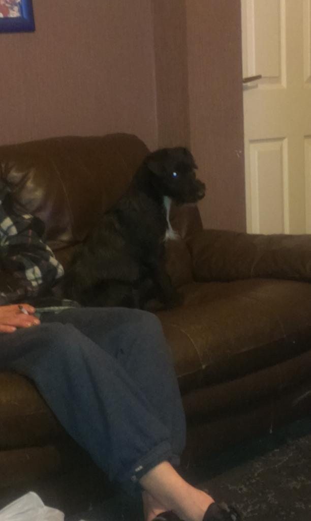 IngallJune's tweet image. My new baby