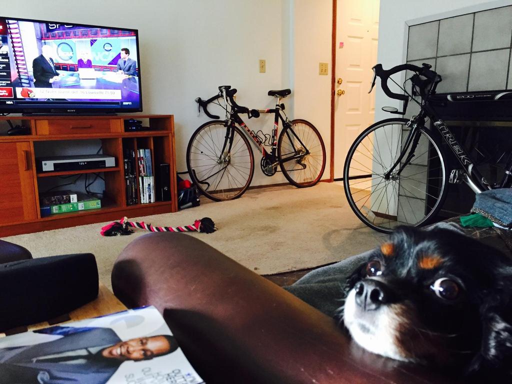 JaymaDog07's tweet photo. Enjoying some #brotime . Thanks for the company @chestafiesta03 http://t.co/5PSffC8UgS