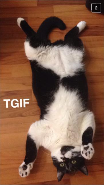 Embedded image permalink