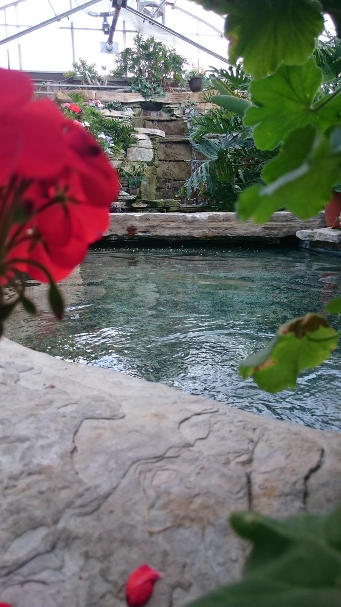 Tired of the #Snow? ... #Spring is ALREADY HERE @CarruthersCreek